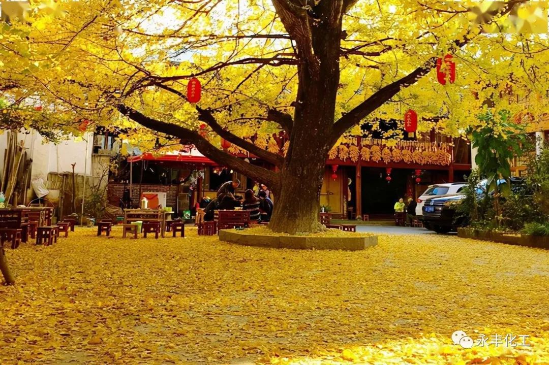 七彩云南，邂逅浪漫